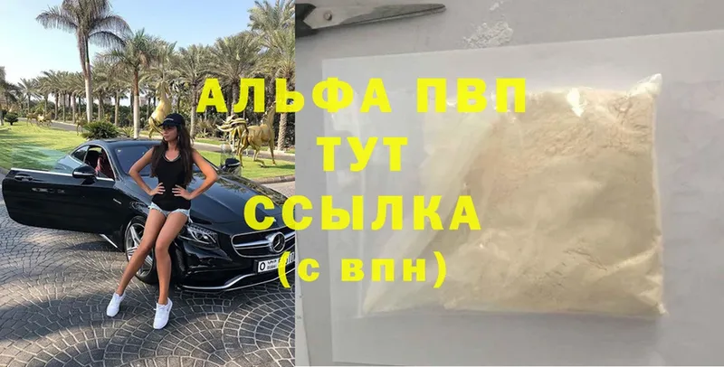 как найти   Прокопьевск  Alfa_PVP СК КРИС 