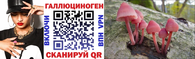 что такое   Прокопьевск  Галлюциногенные грибы Cubensis 