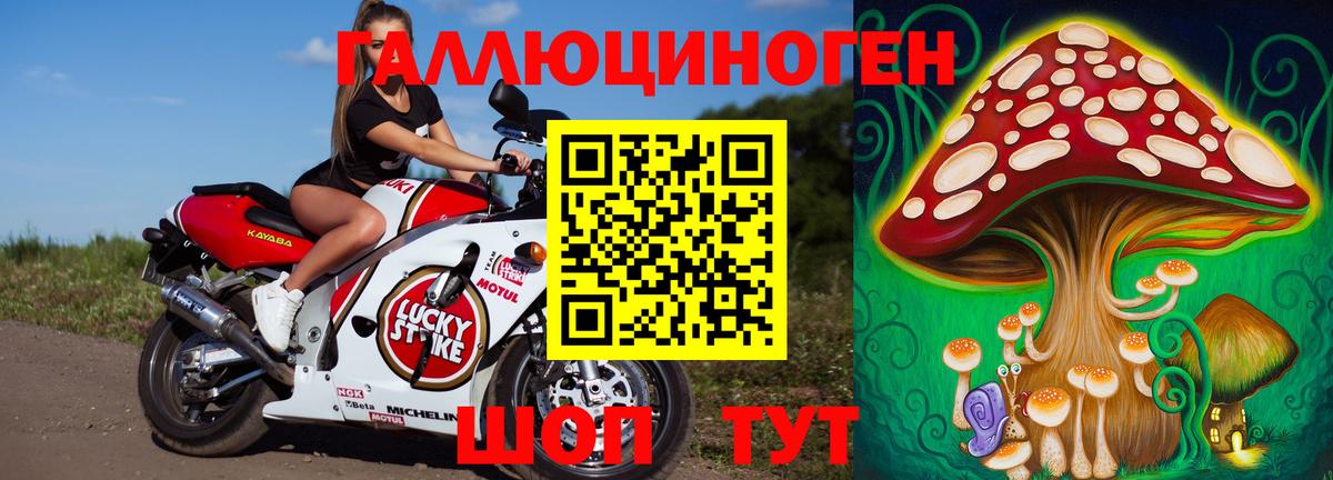 Галлюциногенные грибы GOLDEN TEACHER Прокопьевск