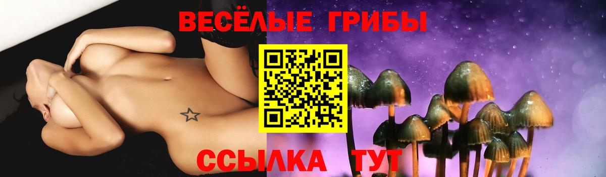 Галлюциногенные грибы Cubensis  Вход с VPN  Галлюциногенные грибы GOLDEN TEACHER  Прокопьевск 